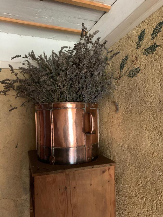 Le Bouchet-Saint-Nicolas Le Potala B&B 외부 사진